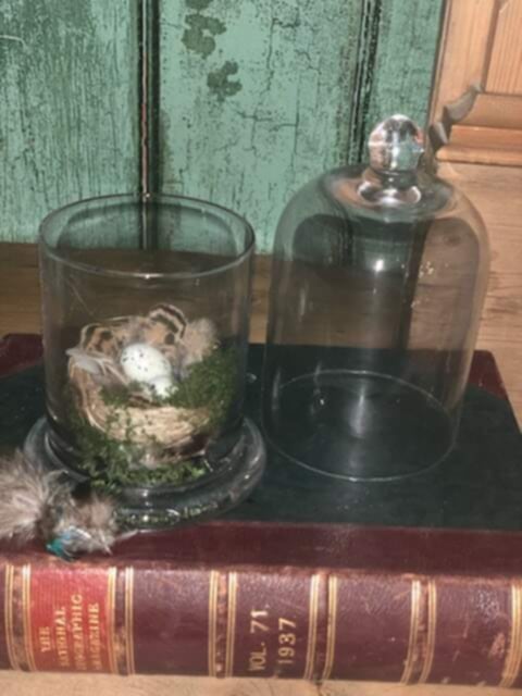 Birds Nest Cloche - Medium A