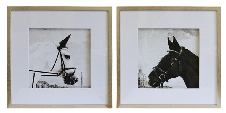 Pre-order. Nostalgic Black & White Stallion Prints