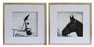 Pre-order. Nostalgic Black & White Stallion Prints