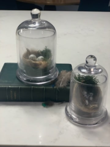 Birds Nest Cloche - Medium B