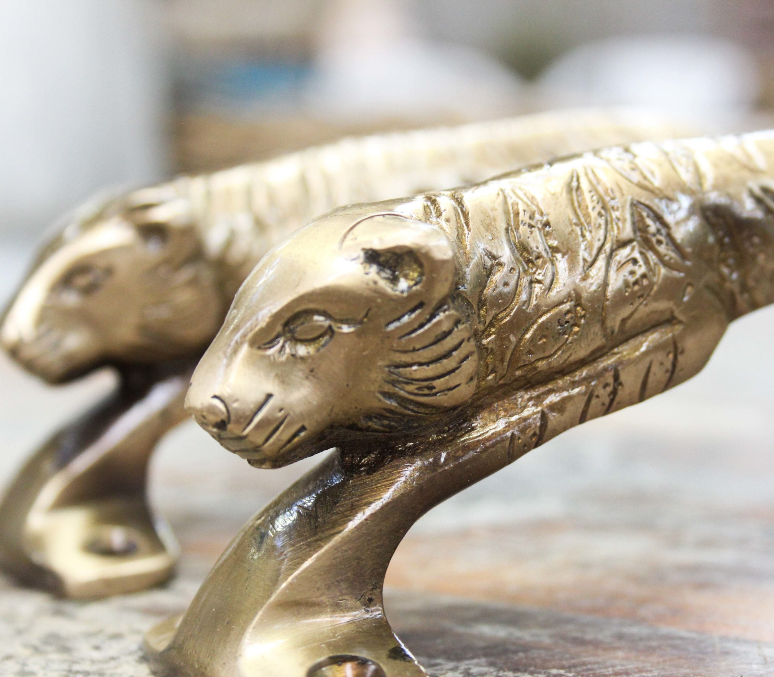 Solid Brass Lion Handles - Pair
